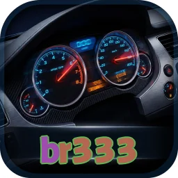 br333