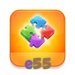 e55